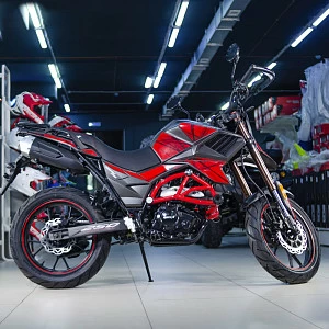 Мотоцикл турэндуро ROCKOT HOUND 250 LUX (красный, ЭПТС)